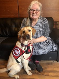 woman and yellow lab service dog