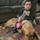 young boy pets yellow dog while sitting together on area rug