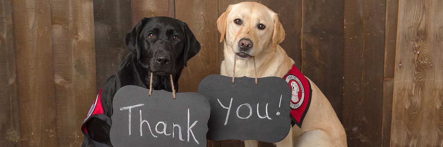 Two dogs holding up signs with their mouths saying Thank You!