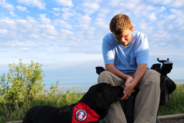 Outdoors on an overlook, a young man in a powerchair pets his assistance dog.