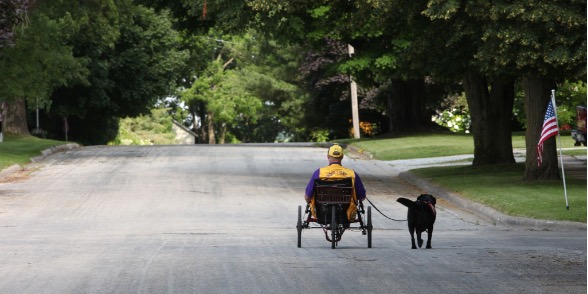 Man on sitting bike going down road with dog on leash