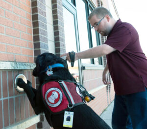 man instructing service dog to press door pushplate