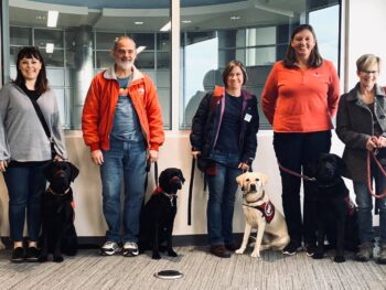 group of volunteers at airport with dogs