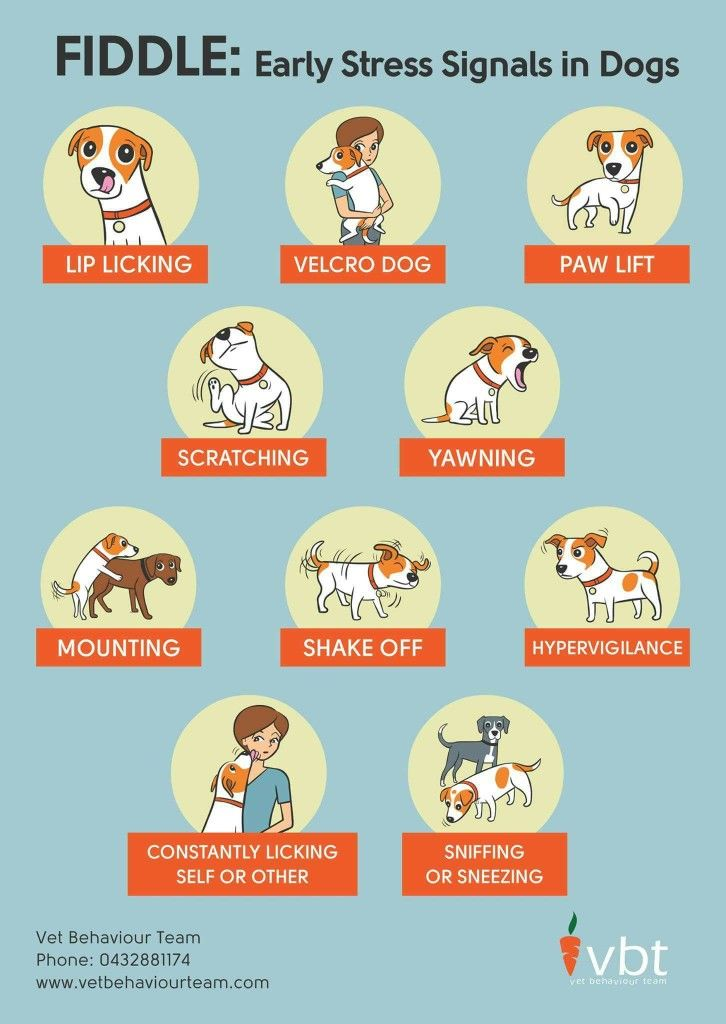 cartoons of early stress signals in dogs