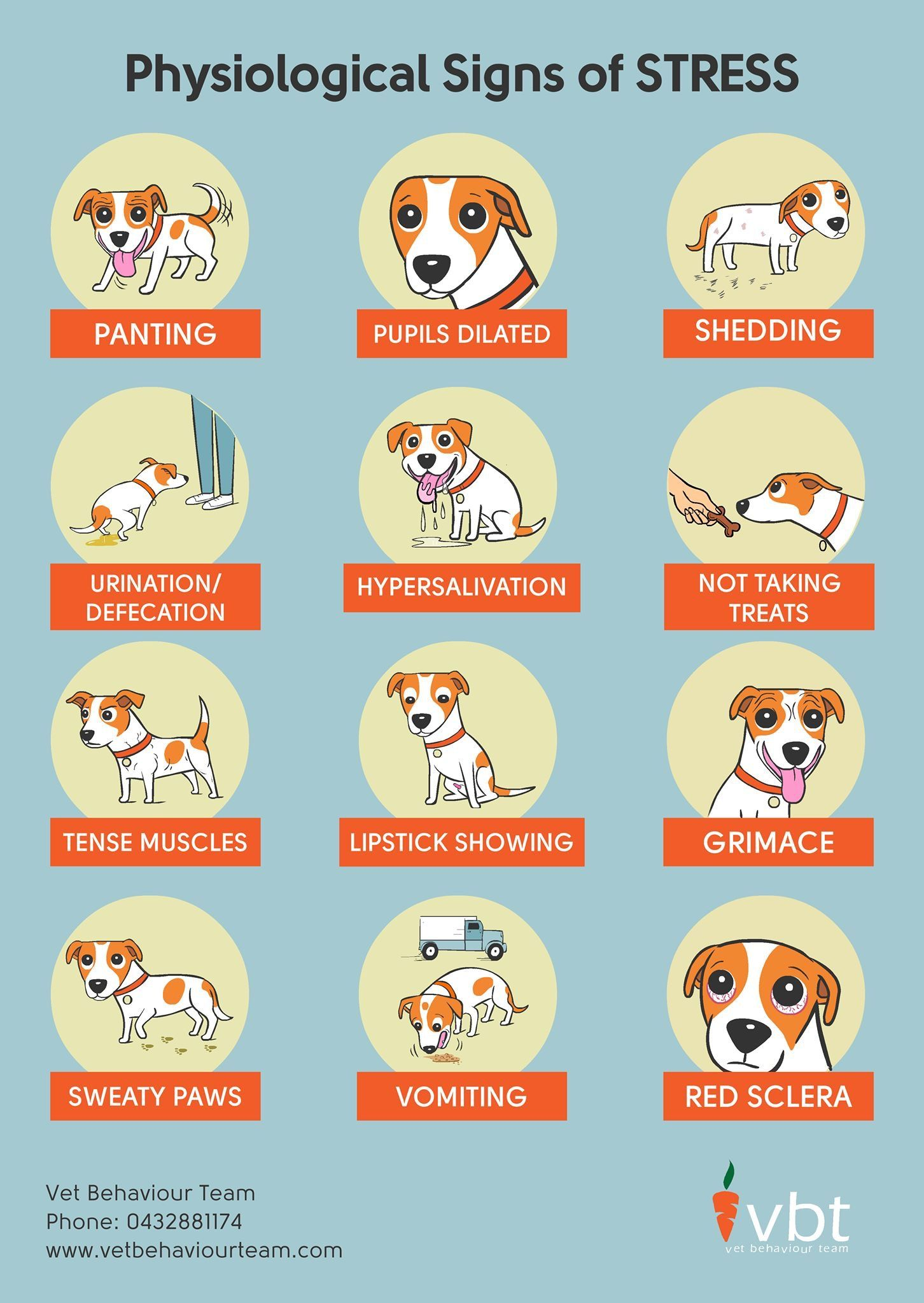 cartoons of physiological signs of stress for dogs