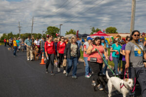 crowd of people and dogs participating in a walking event on street