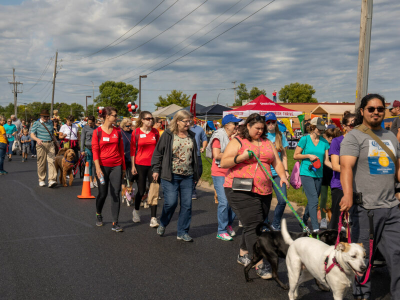 crowd of people and dogs participating in a walking event on street