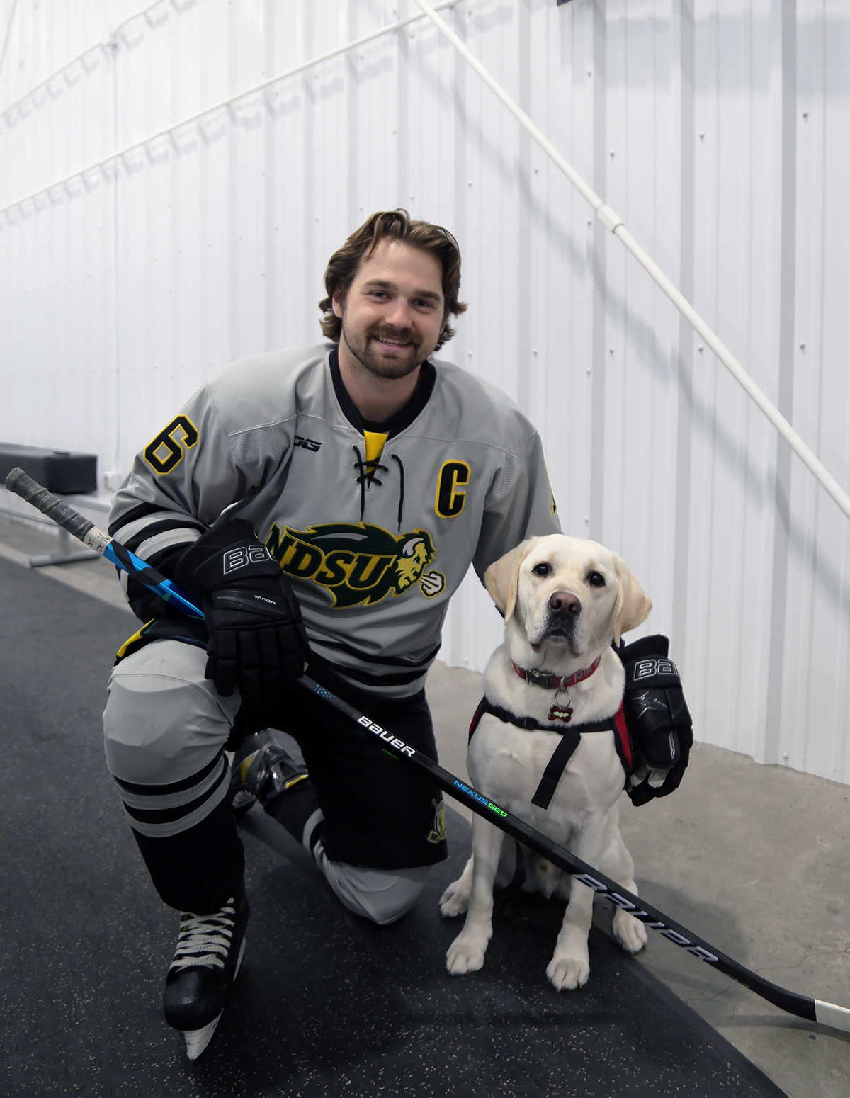 young man in ice skates and hockey uniform that says "NDSU", kneeling in arena next to white service dog