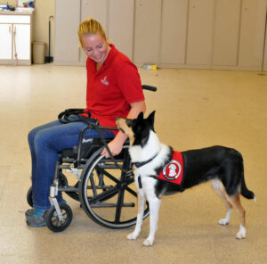 woman using a wheelchair with a smooth coat collie next to the chair