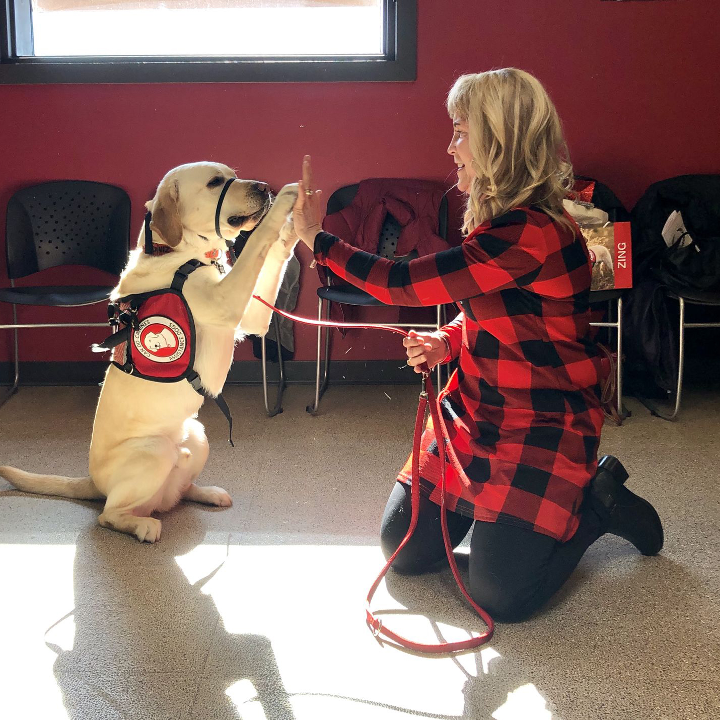 woman in red and black dress kneeling on ground to give a high five to a yellow Lab service dog
