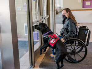black dog wearing Can Do Canines service dog cape pressing door pushplate for young man in wheelchair