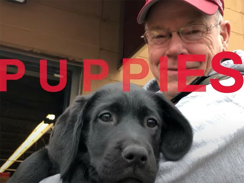 man holding young black puppy in arms and both of them looking at camera