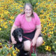woman kneeling down in sunflower field with arm around black Lab dog