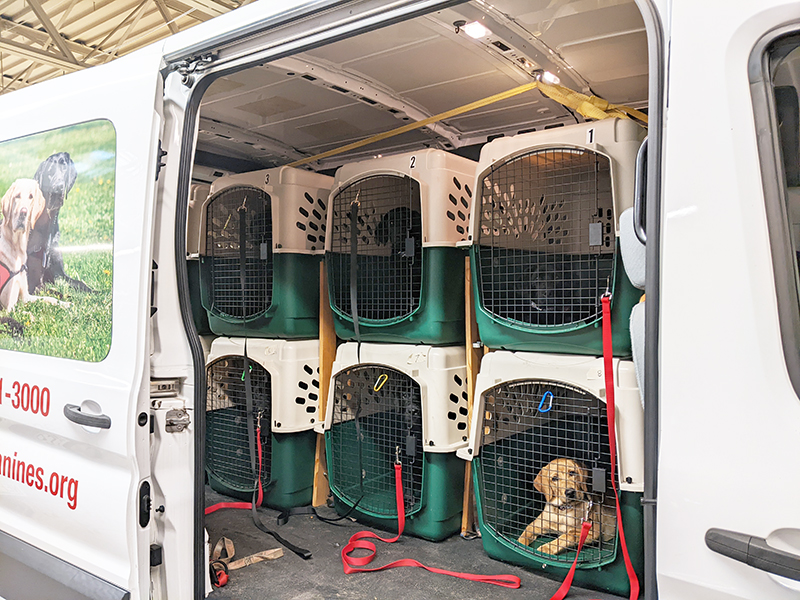 open van door to show dogs inside in crates, with dog photo on van's side