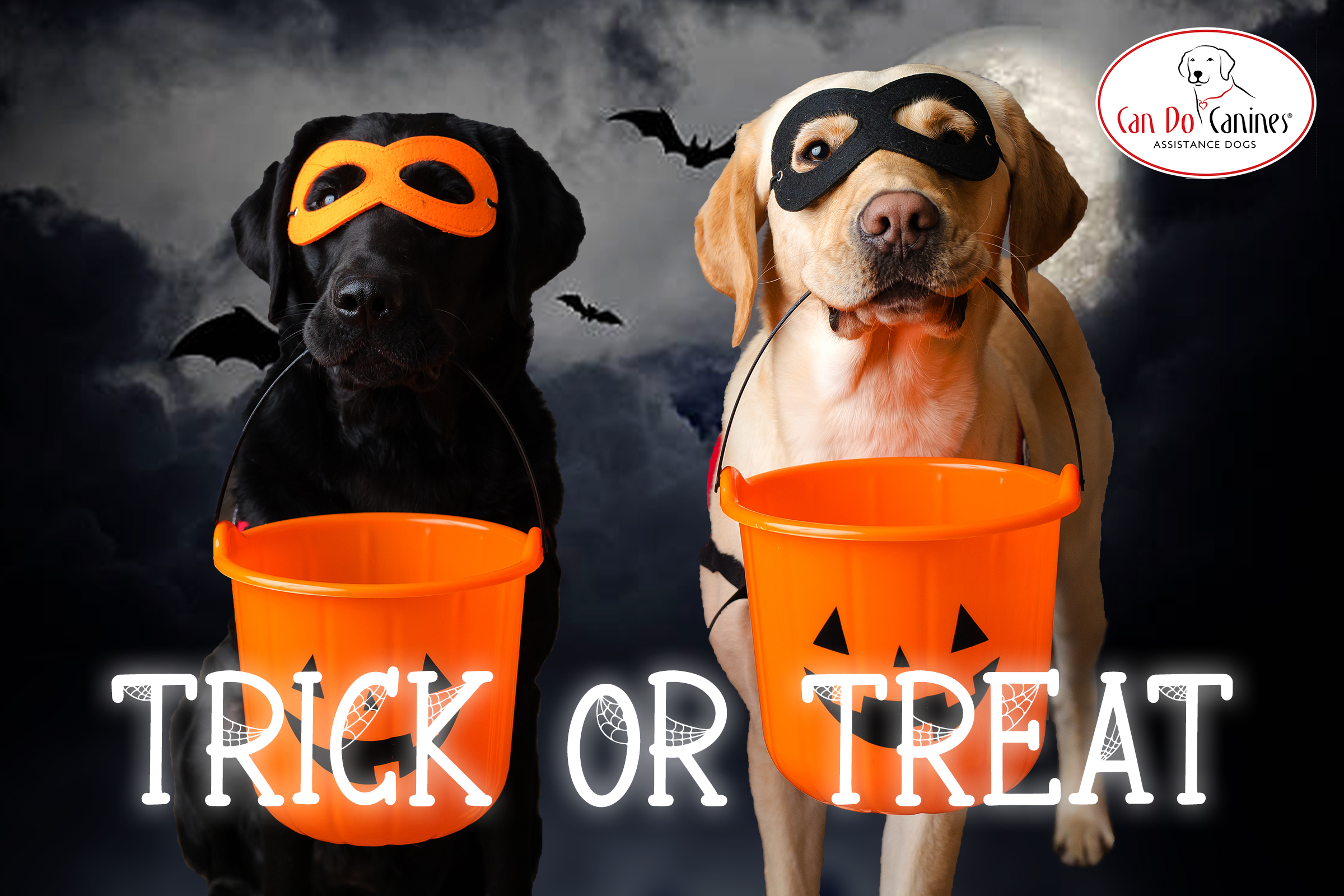 Two dogs, black and yellow Lab, are posing with an orange treat bucket in their mouths.