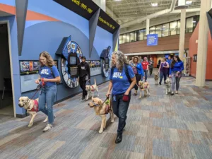 Group of volunteers and their dogs in training walking in a hallway.