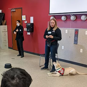 Woman demonstrating skills with a yellow Lab.