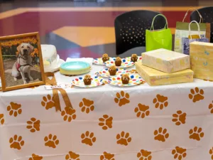 Table with dogprint tablecloth with photo of dog, small cupcakes on plates and wrapped presents on table