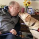 man sitting in wheelchair, leaning to one side to share kiss with yellow Lab service dog wearing Can Do Canines cape