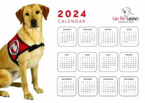 Can Do Canines 2024 Calendar