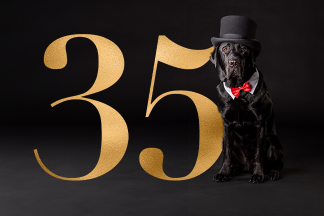 Black Labrador wearing a top hat and red bowtie. The number 35 are positioned next to him
