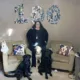 woman standing in living room with two black Labs and one yellow Lab in front of collage of dogs in shape of "100" on wall