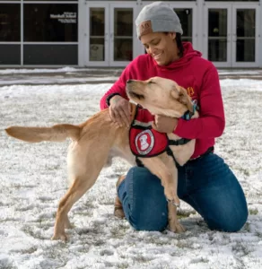 woman kneeling in snow smiling and scratching back of yellow Lab wearing red service cape