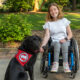 A teenage girl using a wheelchair is smiling at the camera and her black Labrador service dog is sitting next to her with his paw placed in her hand.