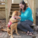 woman sitting on deck steps smiling at and putting hands on yellow Lab service dog wearing red cape