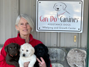 woman sitting on bench in front of Can Do Canines sign holidng three young Labrador puppies: one black, one white, and one brown