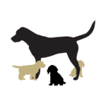 Icon of an adult dog with three puppies