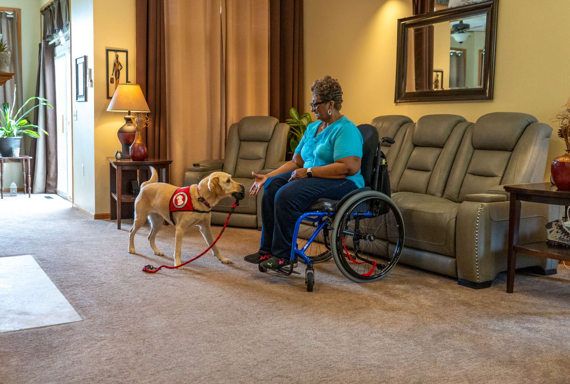 Yellow Lab assistance dog retireves her leash for a woman using a wheelchair